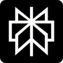 Perplexity Pro